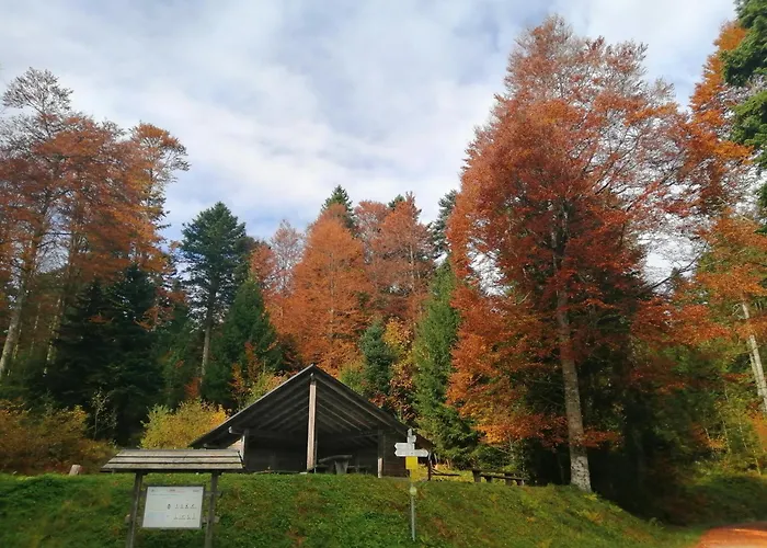 Hotel am Kurpark